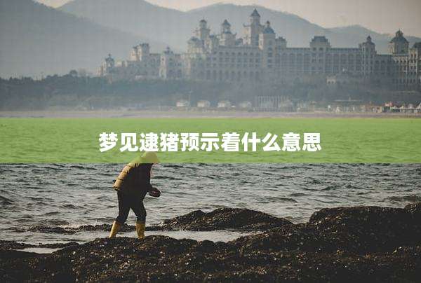 梦见逮猪预示着什么意思