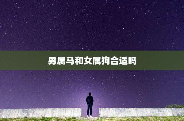 男属马和女属狗合适吗