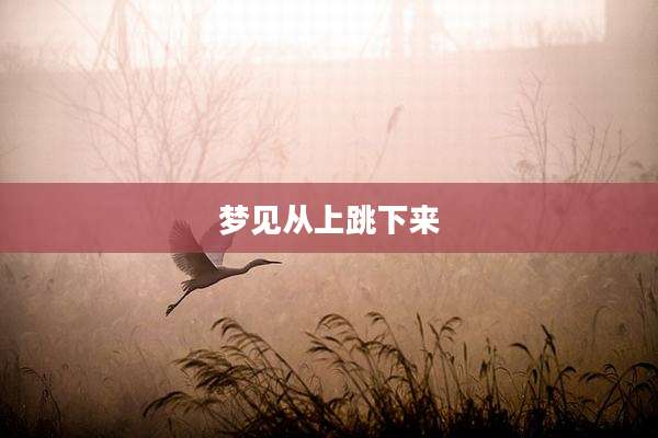 梦见从上跳下来
