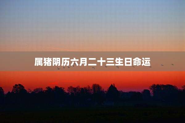 属猪阴历六月二十三生日命运