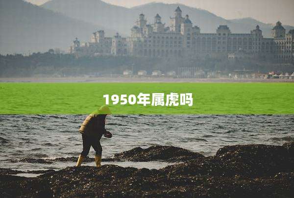 1950年属虎吗