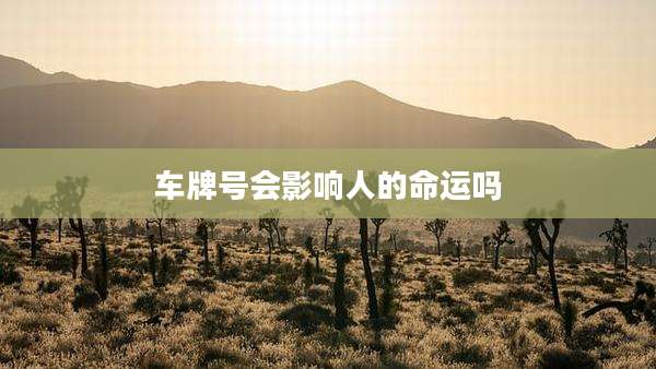车牌号会影响人的命运吗