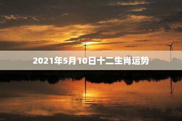 2021年5月10日十二生肖运势