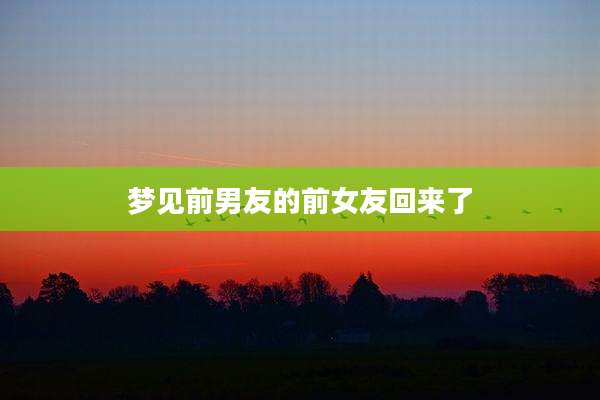 梦见前男友的前女友回来了