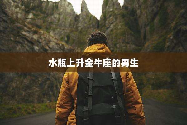 水瓶上升金牛座的男生