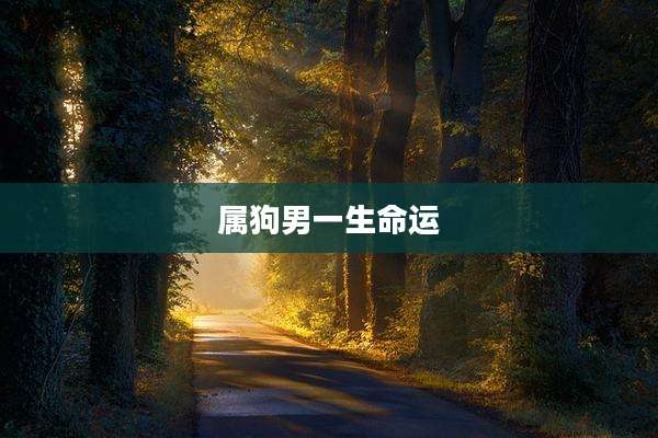 属狗男一生命运