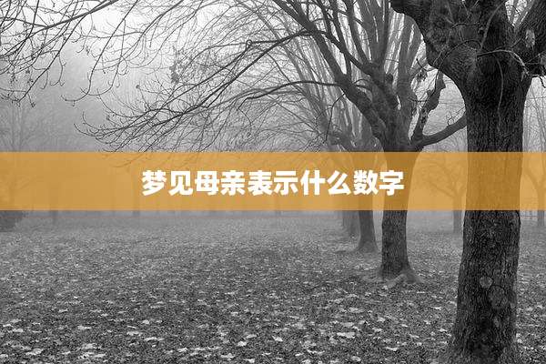 梦见母亲表示什么数字