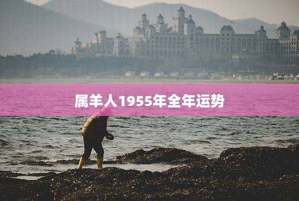 属羊人1955年全年运势