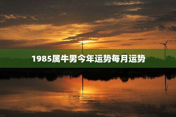 1985属牛男今年运势每月运势