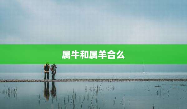 属牛和属羊合么