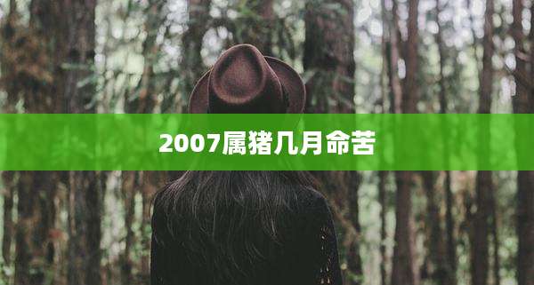 2007属猪几月命苦