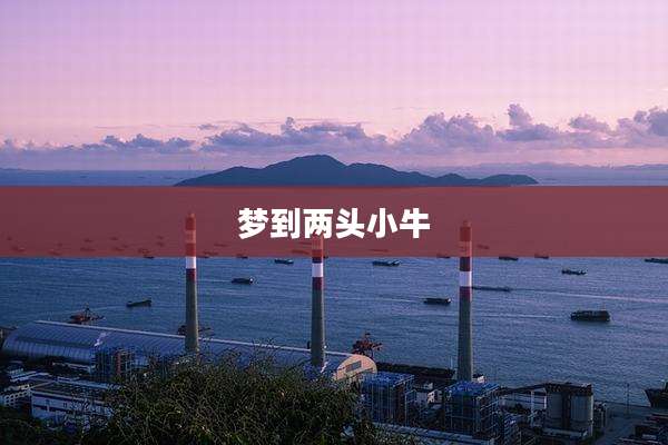 梦到两头小牛