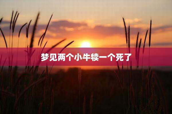梦见两个小牛犊一个死了
