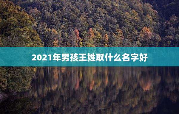 2021年男孩王姓取什么名字好
