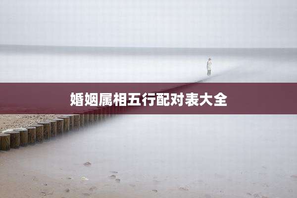 婚姻属相五行配对表大全