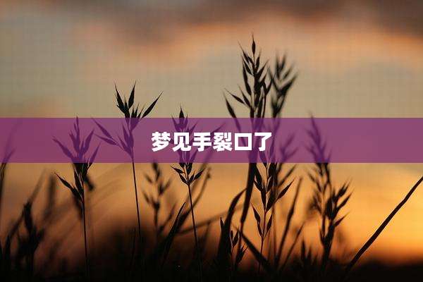 梦见手裂口了