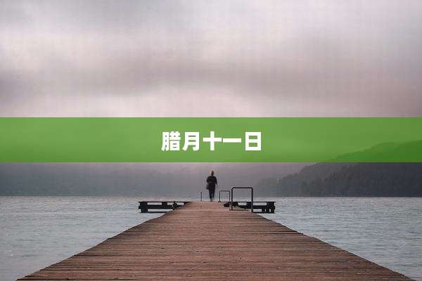 腊月十一日