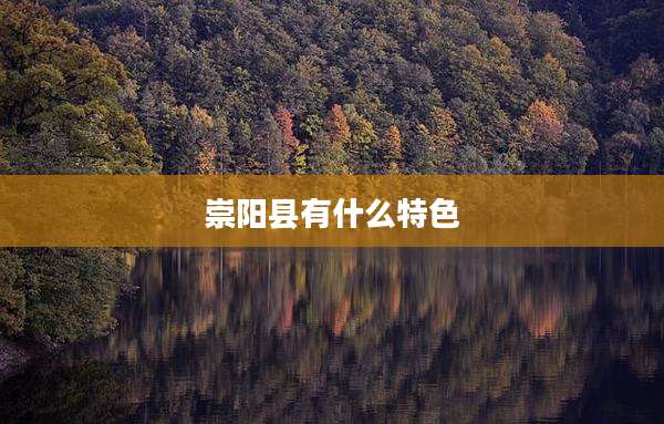 崇阳县有什么特色