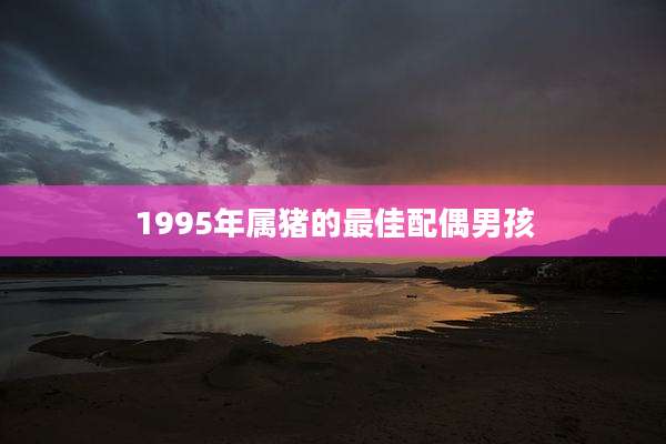1995年属猪的最佳配偶男孩