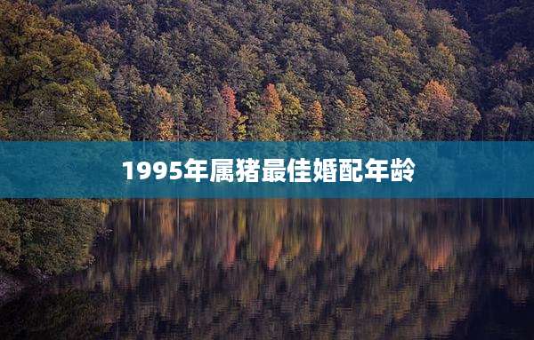 1995年属猪最佳婚配年龄