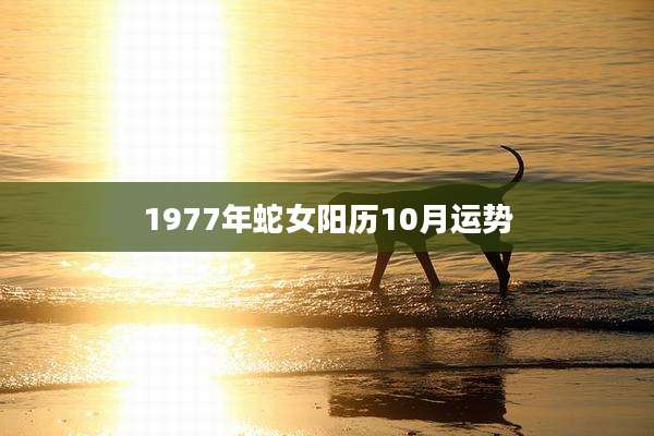 1977年蛇女阳历10月运势