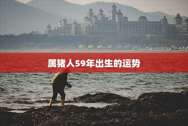 属猪人59年出生的运势