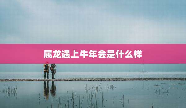 属龙遇上牛年会是什么样
