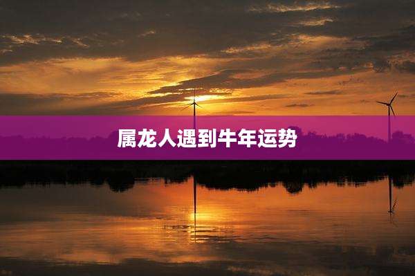 属龙人遇到牛年运势