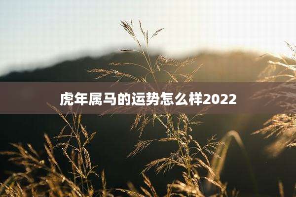 虎年属马的运势怎么样2022