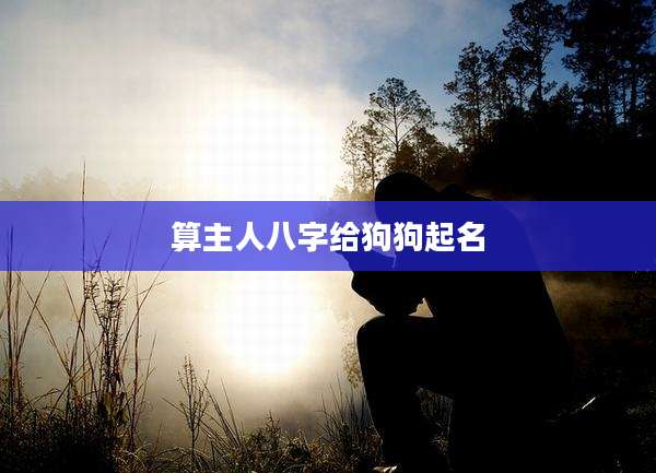 算主人八字给狗狗起名