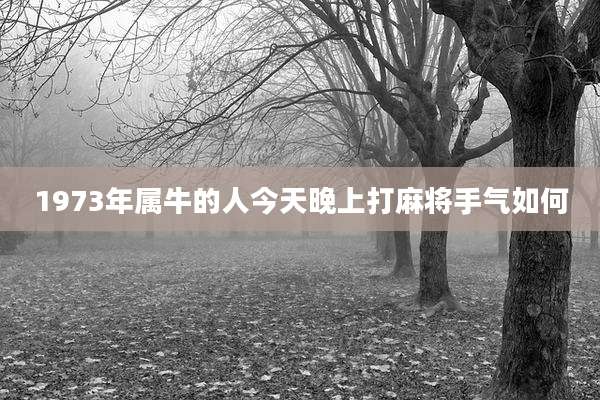 1973年属牛的人今天晚上打麻将手气如何