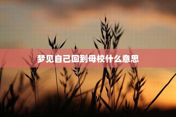 梦见自己回到母校什么意思