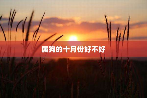 属狗的十月份好不好