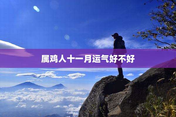 属鸡人十一月运气好不好