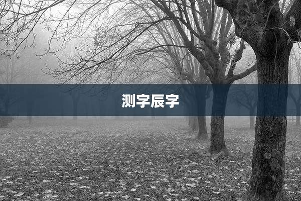 测字辰字