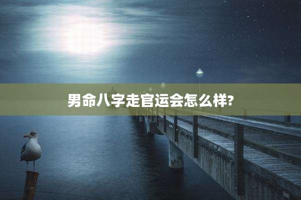 男命八字走官运会怎么样?