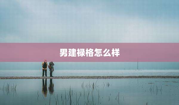 男建禄格怎么样