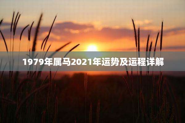 1979年属马2021年运势及运程详解