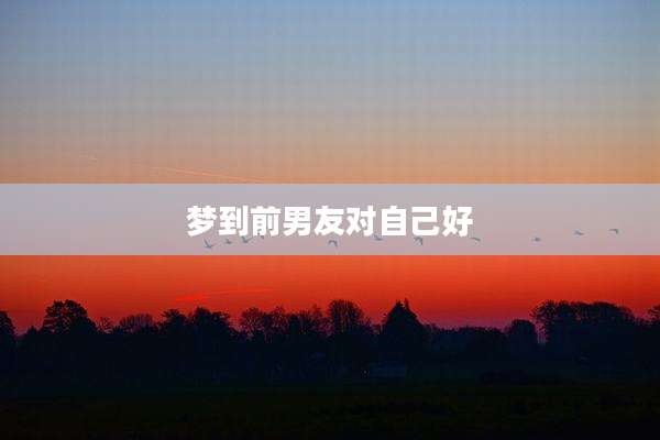 梦到前男友对自己好