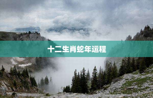 十二生肖蛇年运程