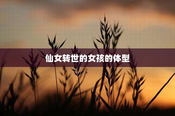 仙女转世的女孩的体型