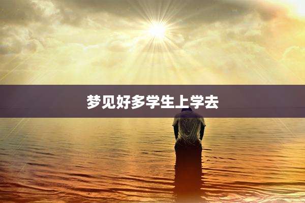 梦见好多学生上学去