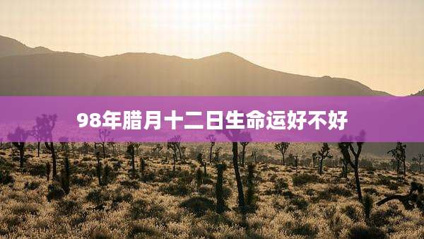 98年腊月十二日生命运好不好