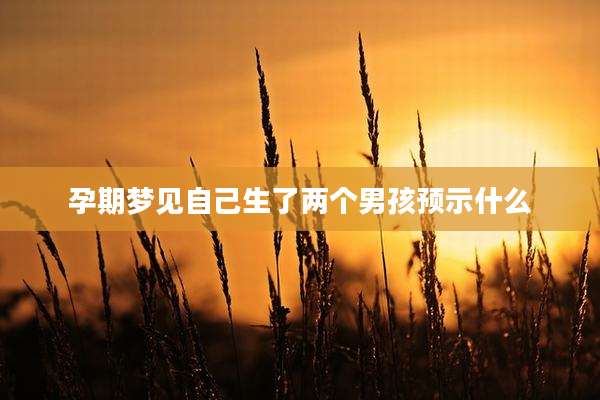 孕期梦见自己生了两个男孩预示什么