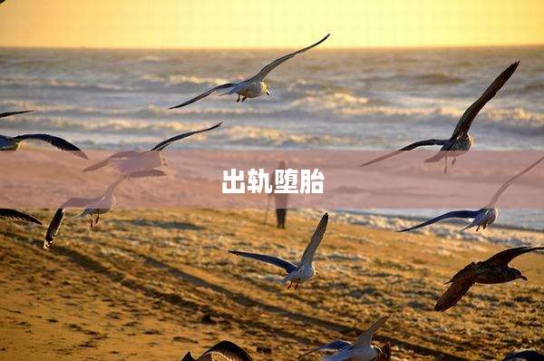 出轨堕胎