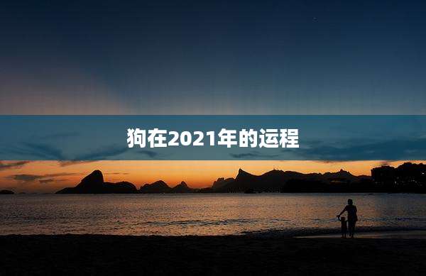 狗在2021年的运程