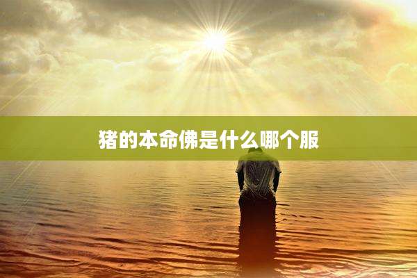 猪的本命佛是什么哪个服
