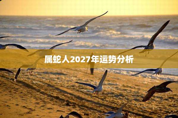 属蛇人2027年运势分析