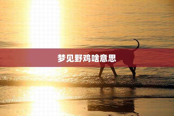 梦见野鸡啥意思