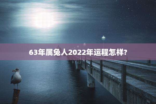 63年属兔人2022年运程怎样?